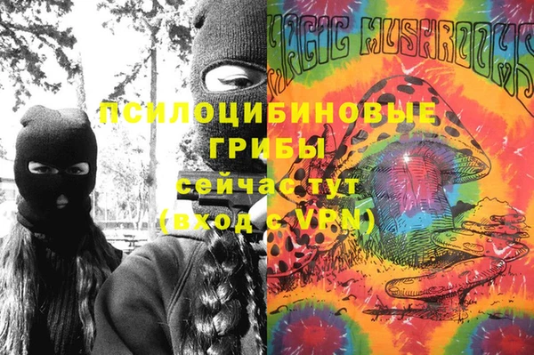 apvp Заводоуковск
