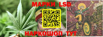 ГАЛЛЮЦИНОГЕННЫЕ ГРИБЫ Беслан