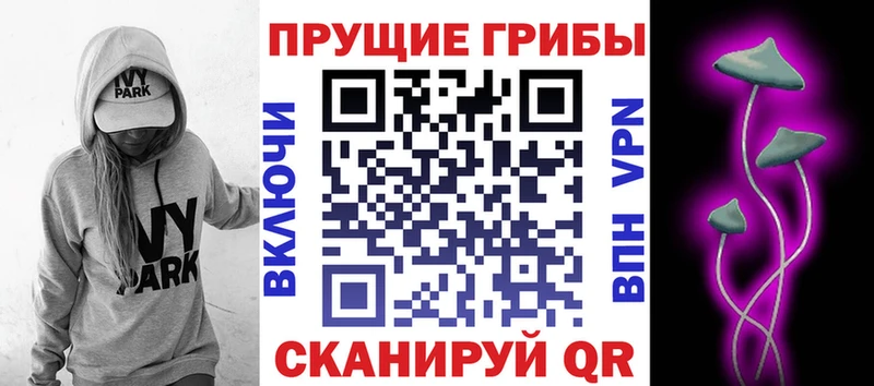Галлюциногенные грибы MAGIC MUSHROOMS закладка Рузаевка