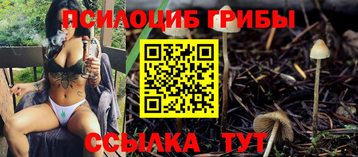 Галлюциногенные грибы прущие грибы Рузаевка