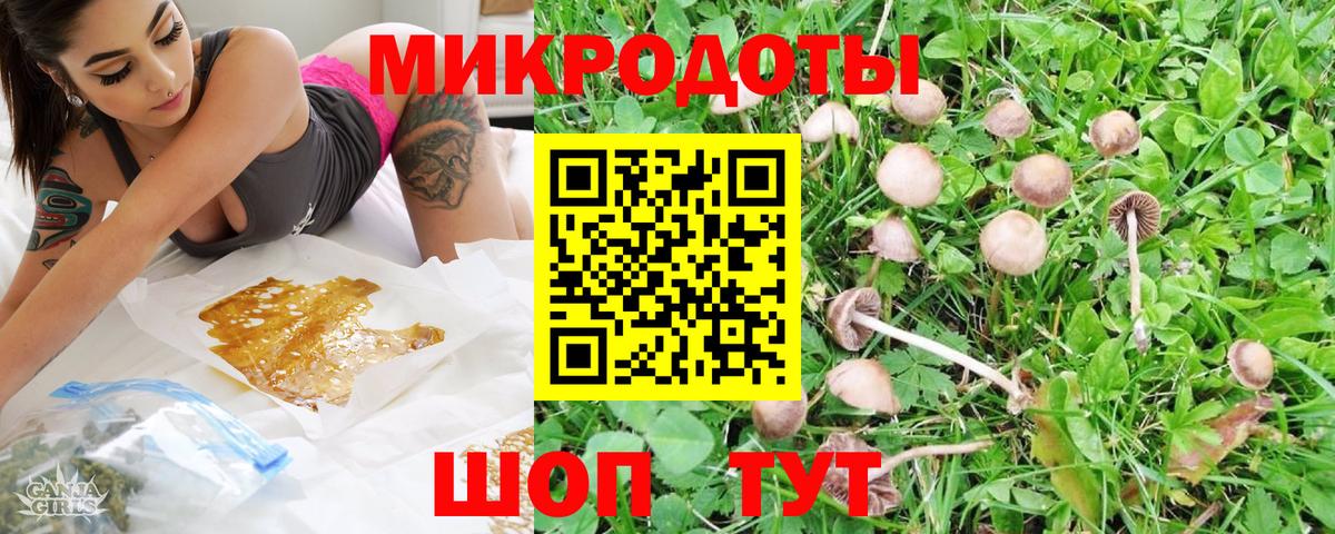 Галлюциногенные грибы GOLDEN TEACHER Рузаевка