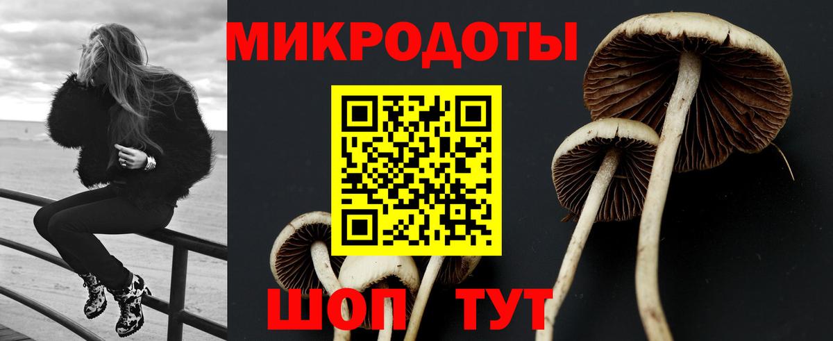 Галлюциногенные грибы GOLDEN TEACHER  Рузаевка 